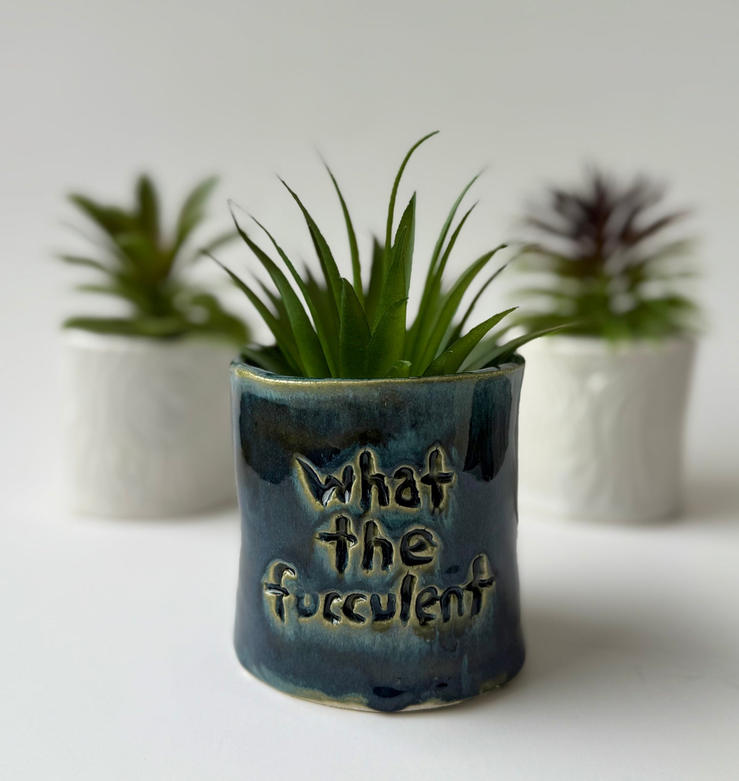 Fucculent planter